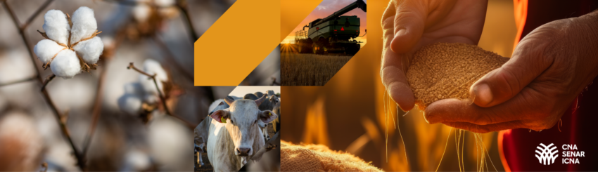 Coletiva inprensa 01