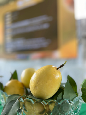 Foto 01 Dia de Campo Maracuja