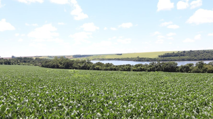 Meio Ambiente 2 site