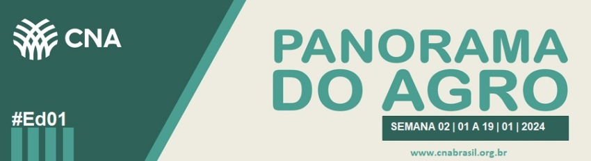 IMAGEM PA 2 A 19 DE JANEIRO