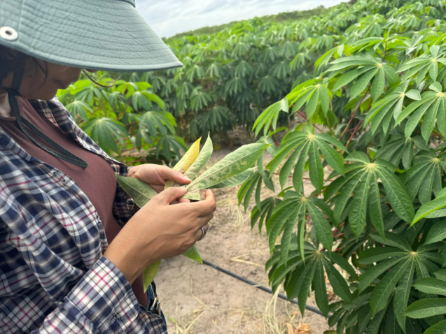 5fa142bf f14d 4d87 97c8 8d61ebeaf560