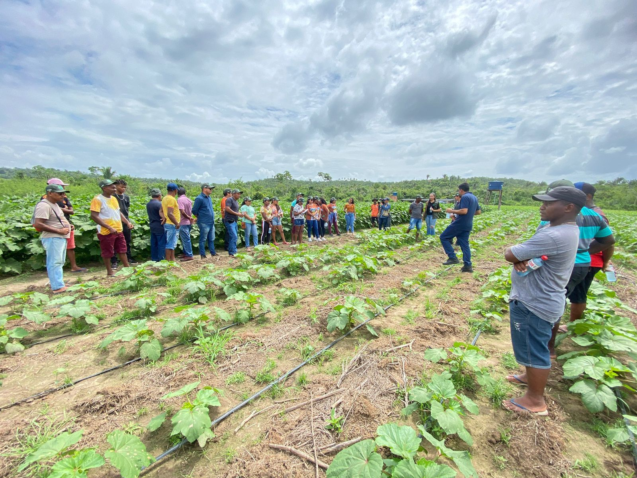 6c5209cb 8353 41ca a3d4 dea75890c7fa