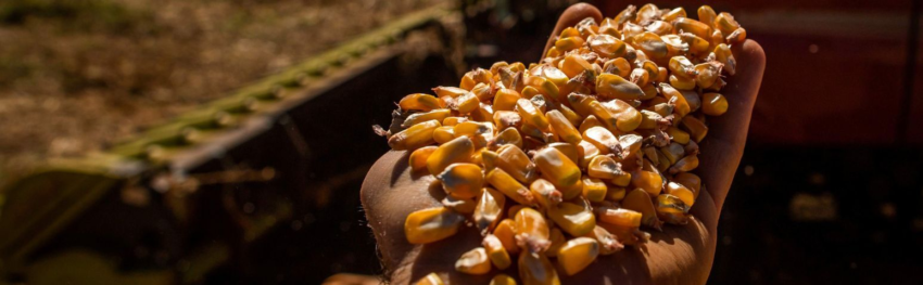 CNA IMAGEM PRINCIPAL2