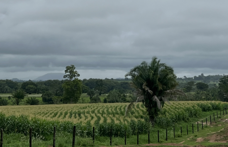 Any Conv com IMG 0654