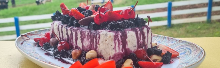 Queijos premiados em minas 3