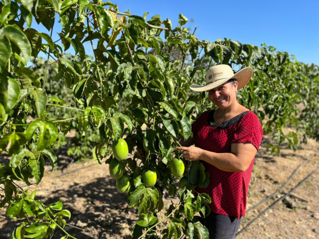 Whats App Image 2024 06 17 at 14 20 14