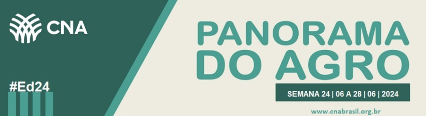 IMAGEM PA 24 A 28 DE JUNHO