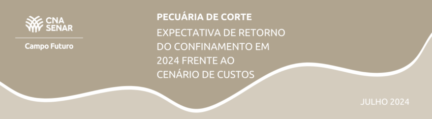 COMUNICADO TECNICO 17