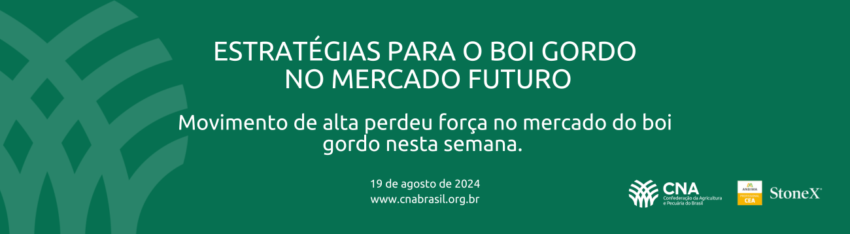 COMUNICADO TECNICO 20