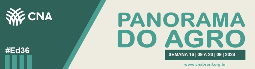 IMAGEM PA 16 A 20 DE SETEMBRO