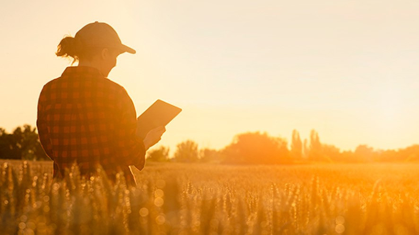 Mulheres 220525 162954