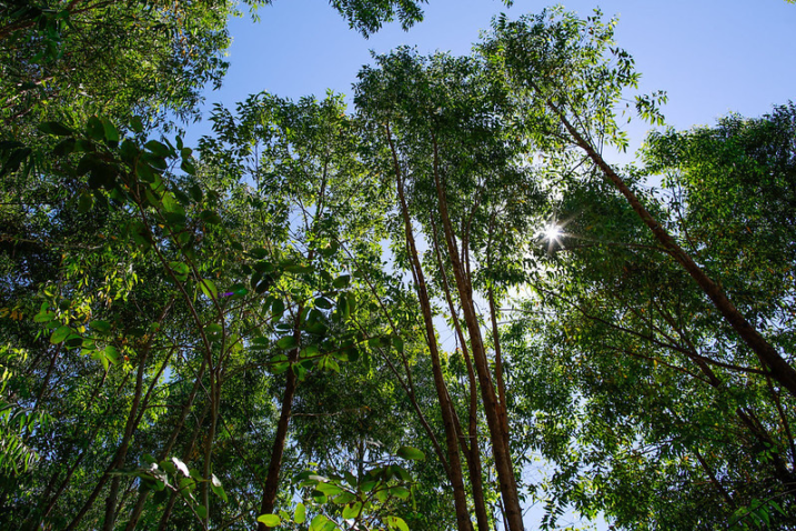 27438326527 e2b6ace9b5 c 211201 235737