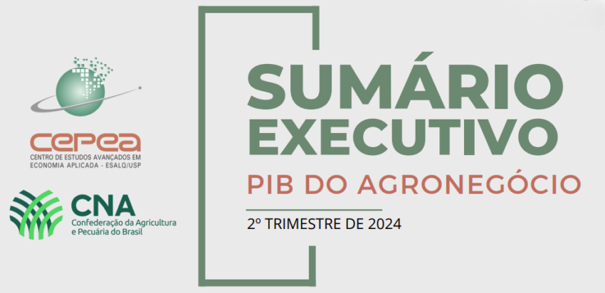 Sumario Executivo