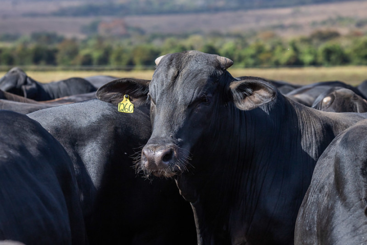 50376238511 ddf017183c c