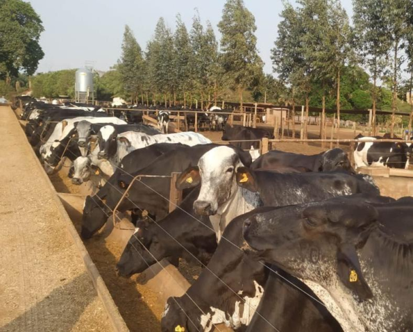 Whats App Image 2021 11 23 at 16 50 55