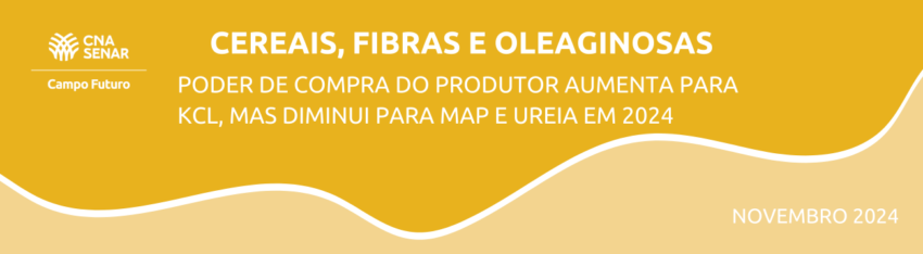 Comunicado Tecnico 55