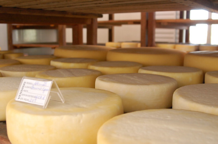 43095079811 1636c4fa22 c