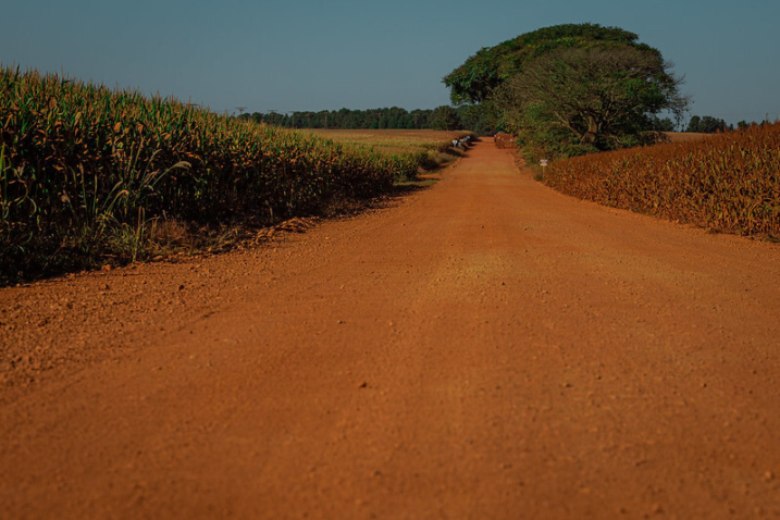 51225834789 6b31cc1d2c c