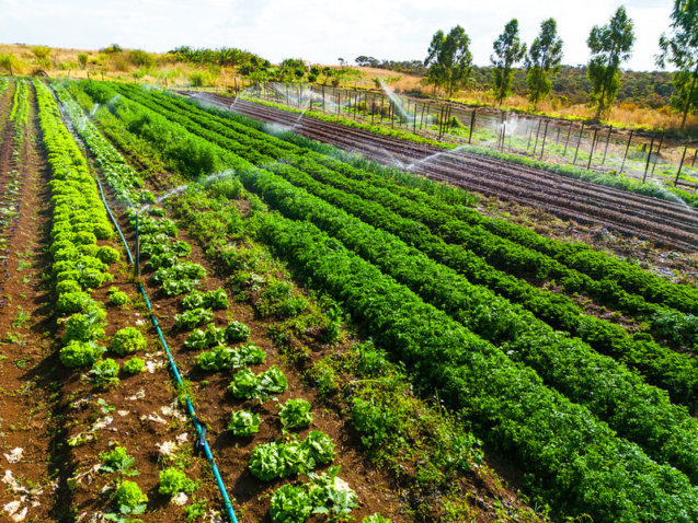 54139668320 fb0672da9f c