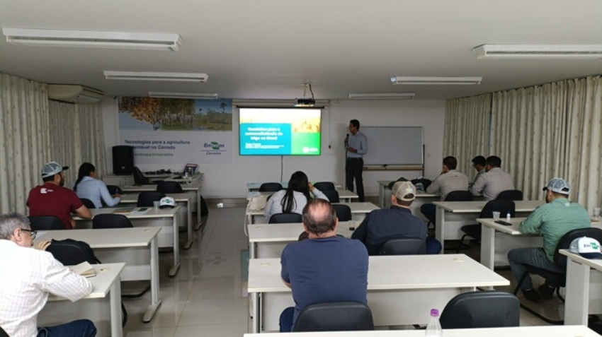 Capacitacao do trigo