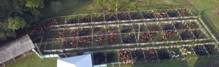 CNA IMAGEM PRINCIPAL20