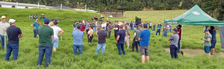 CNA IMAGEM PRINCIPAL25