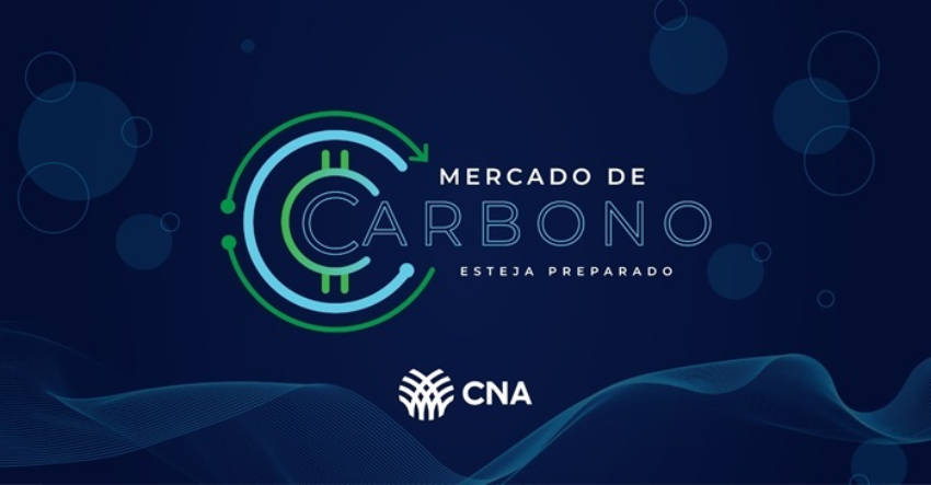 Mercado de Carbono