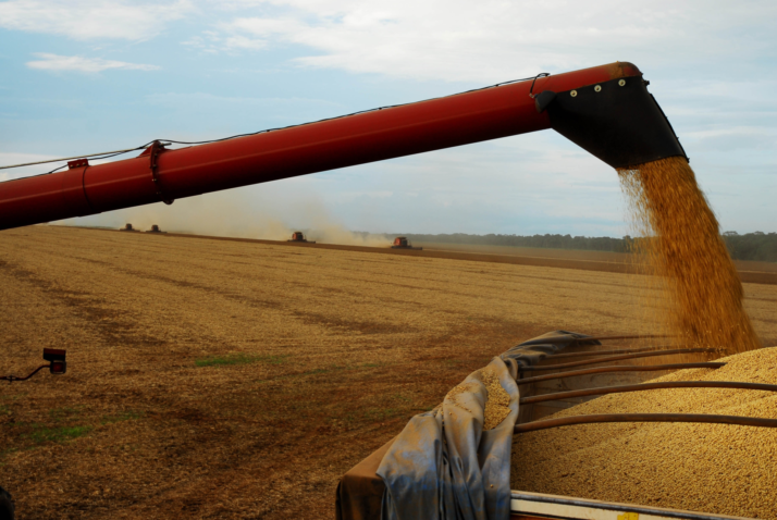 Colheita Soja JMI A100428