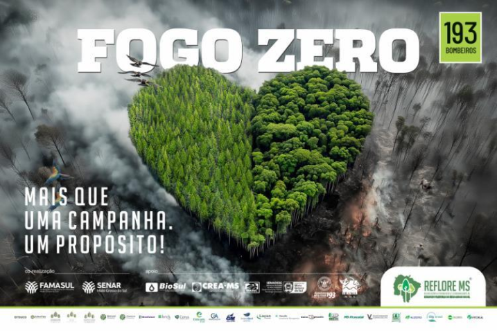 Fogo zero 01