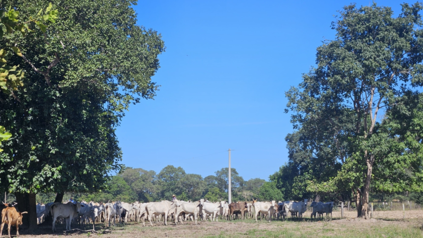 Whats App Image 2025 05 15 at 20 05 33