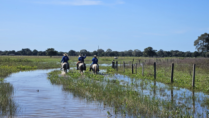 Whats App Image 2025 05 14 at 21 55 14