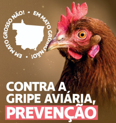 Captura de tela 2025 05 16 092700