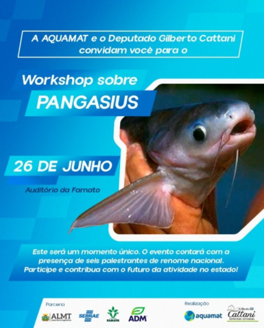 Whats App Image 2025 06 16 at 08 53 32