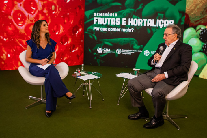 JM SEMINARIO FRUTAS E HORTALICAS