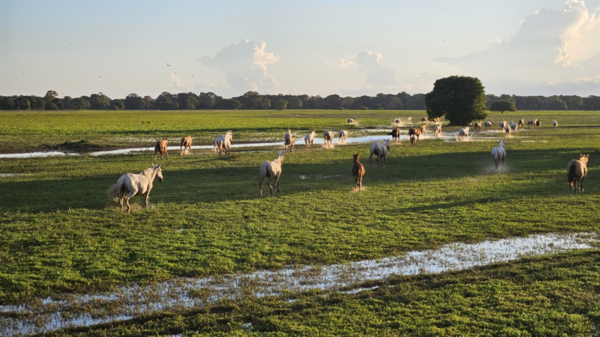 Whats App Image 2025 07 07 at 15 41 57