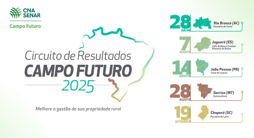 Circuito campo futuro