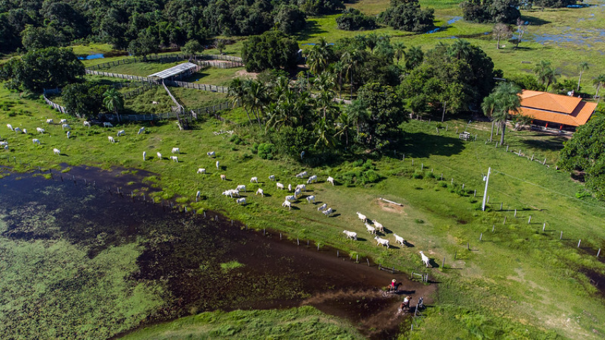 54350878521 ced0559c89 c