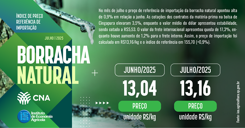 Landscape indice borracha JULHO 2025