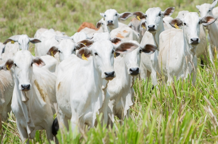 38493569450 814c46f0f4 k