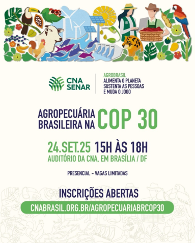 Whats App Image 2025 09 05 at 11 37 53