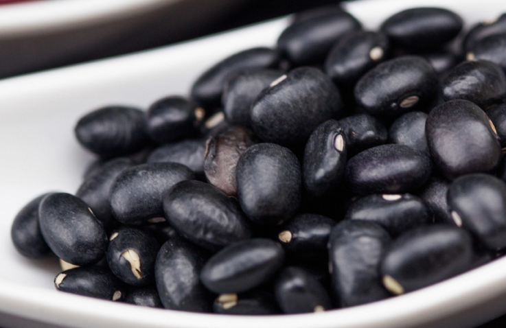 49488188772 a4b59936ef k