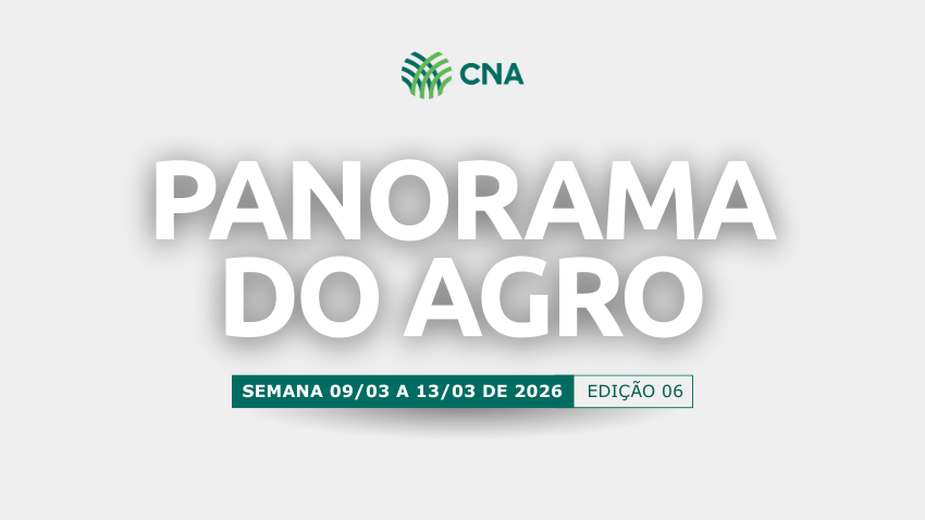 Panorama do Agro 06