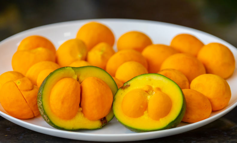 Typical ripe pequi fruit caryocar brasiliense fine details selective focus jpg