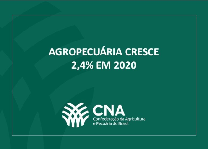 Whats App Image 2020 12 03 at 17 24 08