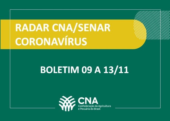 Whats App Image 2020 11 13 at 16 03 36