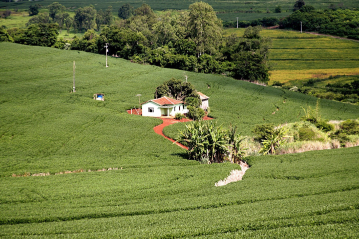 Propriedade rural2