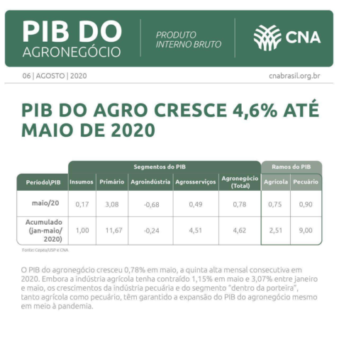 Whats App Image 2020 08 06 at 15 00 56