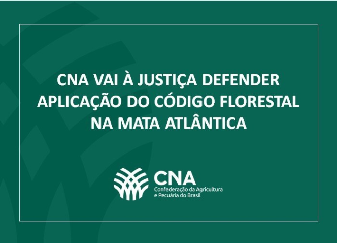 Whats App Image 2020 05 21 at 11 30 10