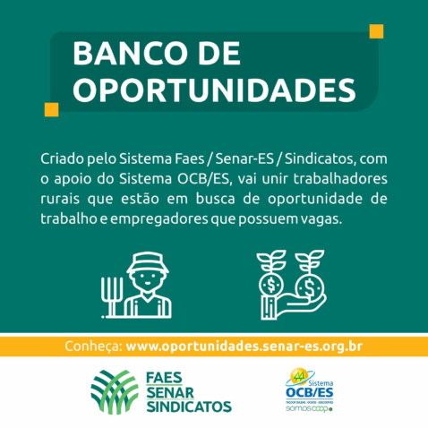 Divulga C3 A7 C3 A3o bancooportunidades rev01