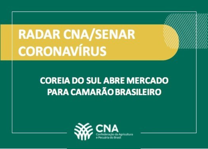 Whats App Image 2020 04 13 at 16 08 31